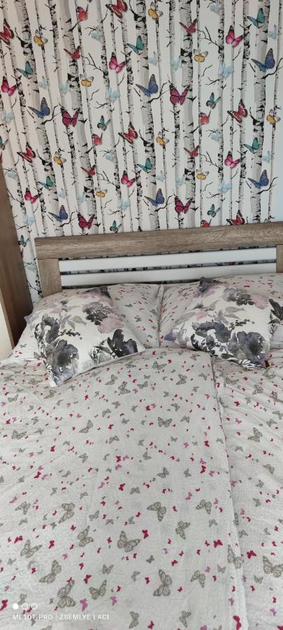 Hodosi Apartman Apartment เวลคีเมเดียร์ ภายนอก รูปภาพ